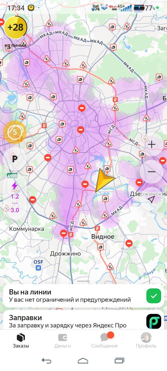 Какая-то ну очень и очень скучная лужа - Москва 5 июня 2025