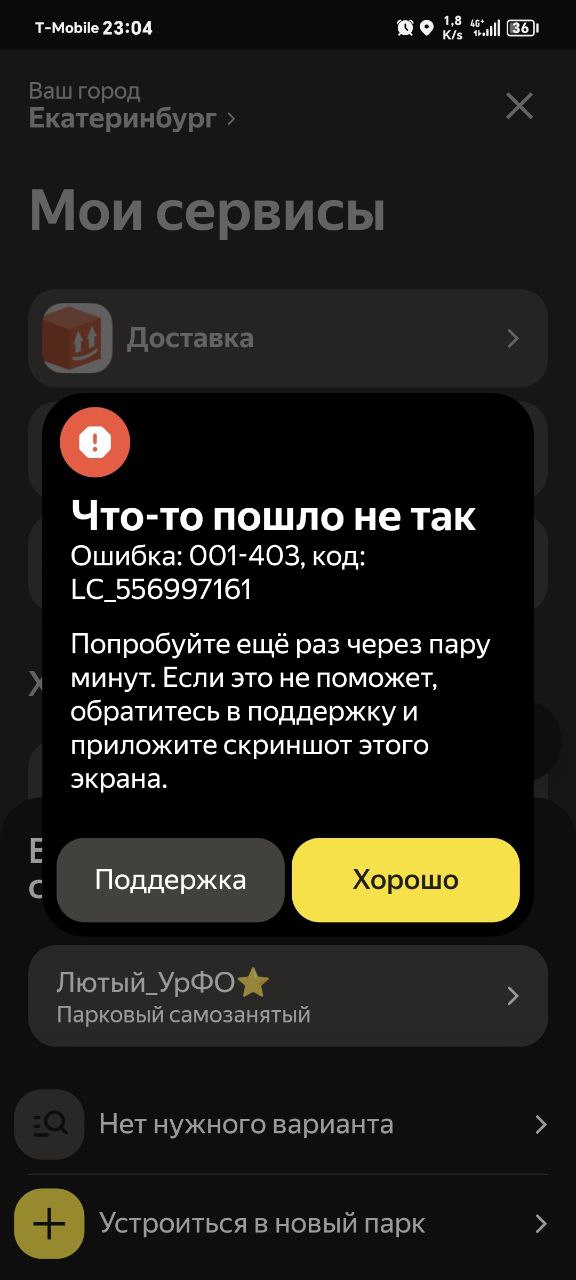 Я так понял у меня не одного это - Екатеринбург 25 ноября 2025